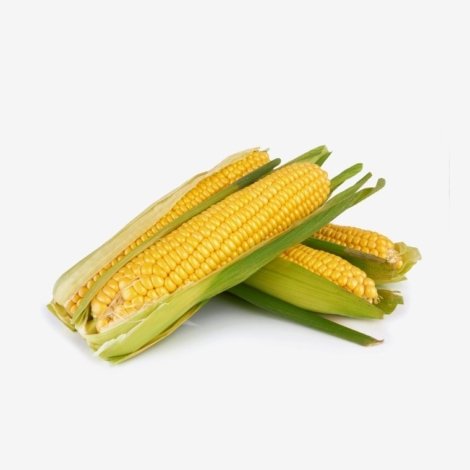 demo-attachment-138-Group-8057